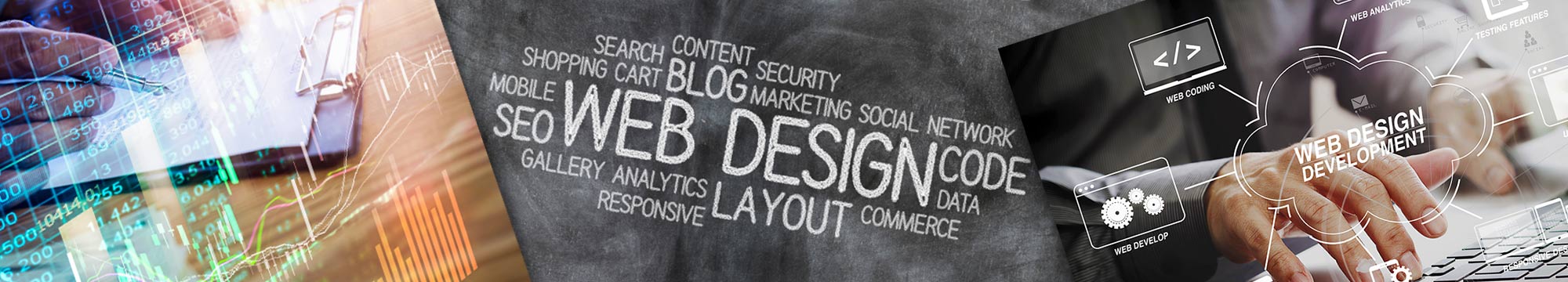 Website Design & Hosting